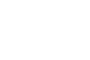 voice express - voice gifting logo